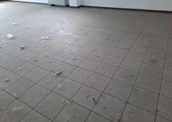 20230420_105017.jpg - Ufficio Viale G. Puccini, Lucca - foto 4