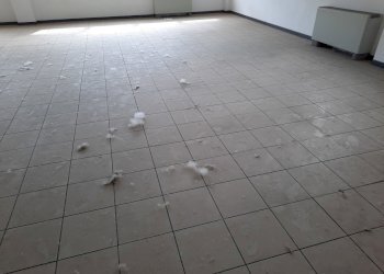 20230420_105022.jpg - Ufficio Viale G. Puccini, Lucca - foto 5