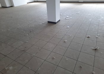 20230420_105025.jpg - Ufficio Viale G. Puccini, Lucca - foto 6