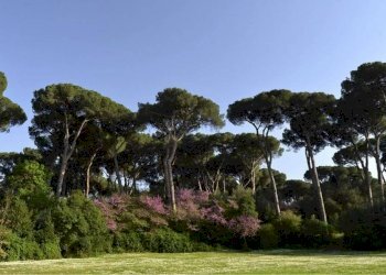 dintorni - Appartamento via di San Filippo Martire, 1A, Roma - foto 6