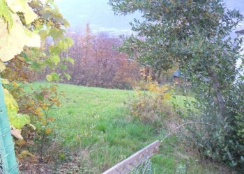 Terreno edificabile via Roma, Faedo Valtellino - foto 4