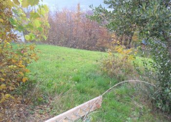 Terreno edificabile via Roma, Faedo Valtellino - foto 6