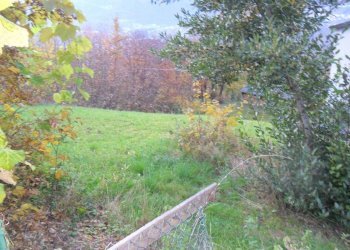 Terreno edificabile via Roma, Faedo Valtellino - foto 7