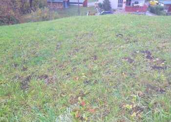 Terreno edificabile via Roma, Faedo Valtellino - foto 8