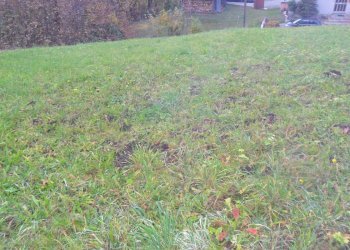 Terreno edificabile via Roma, Faedo Valtellino - foto 9