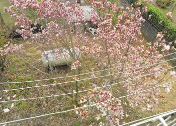 Rustico via Oriolo, Berbenno di Valtellina - foto 14