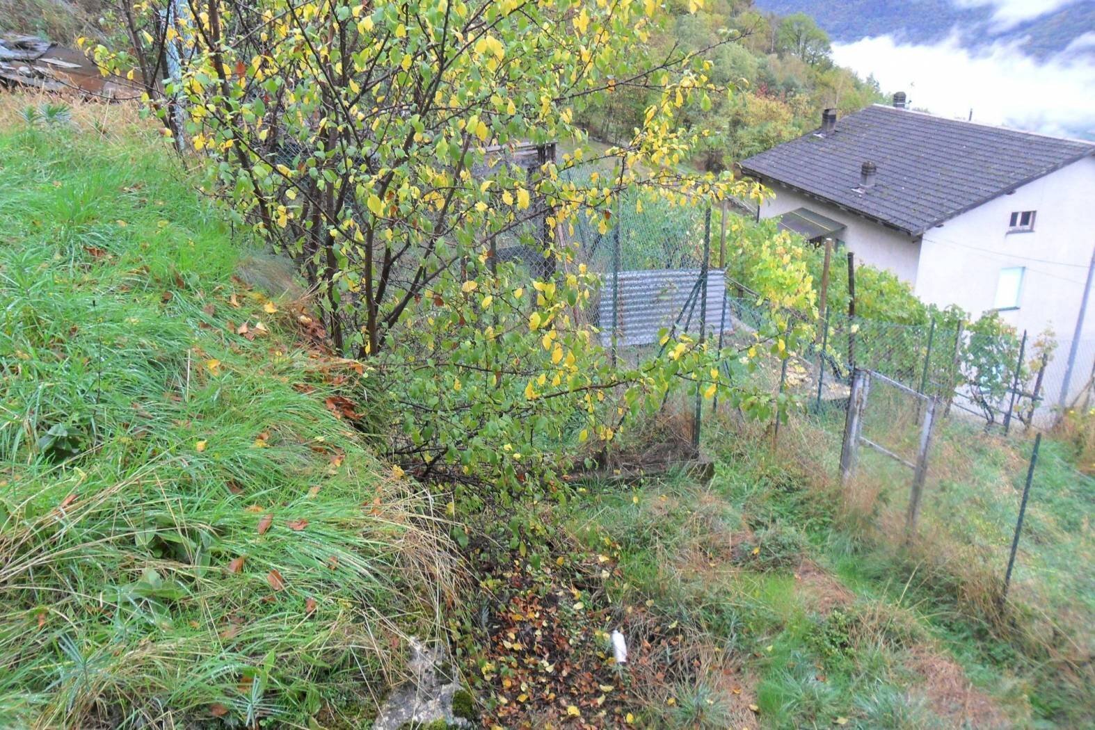 terreno - Rustico via Piatta, Castione Andevenno - foto 3