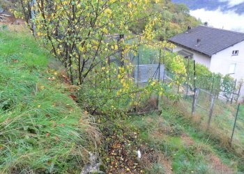 terreno - Rustico via Piatta, Castione Andevenno - foto 3