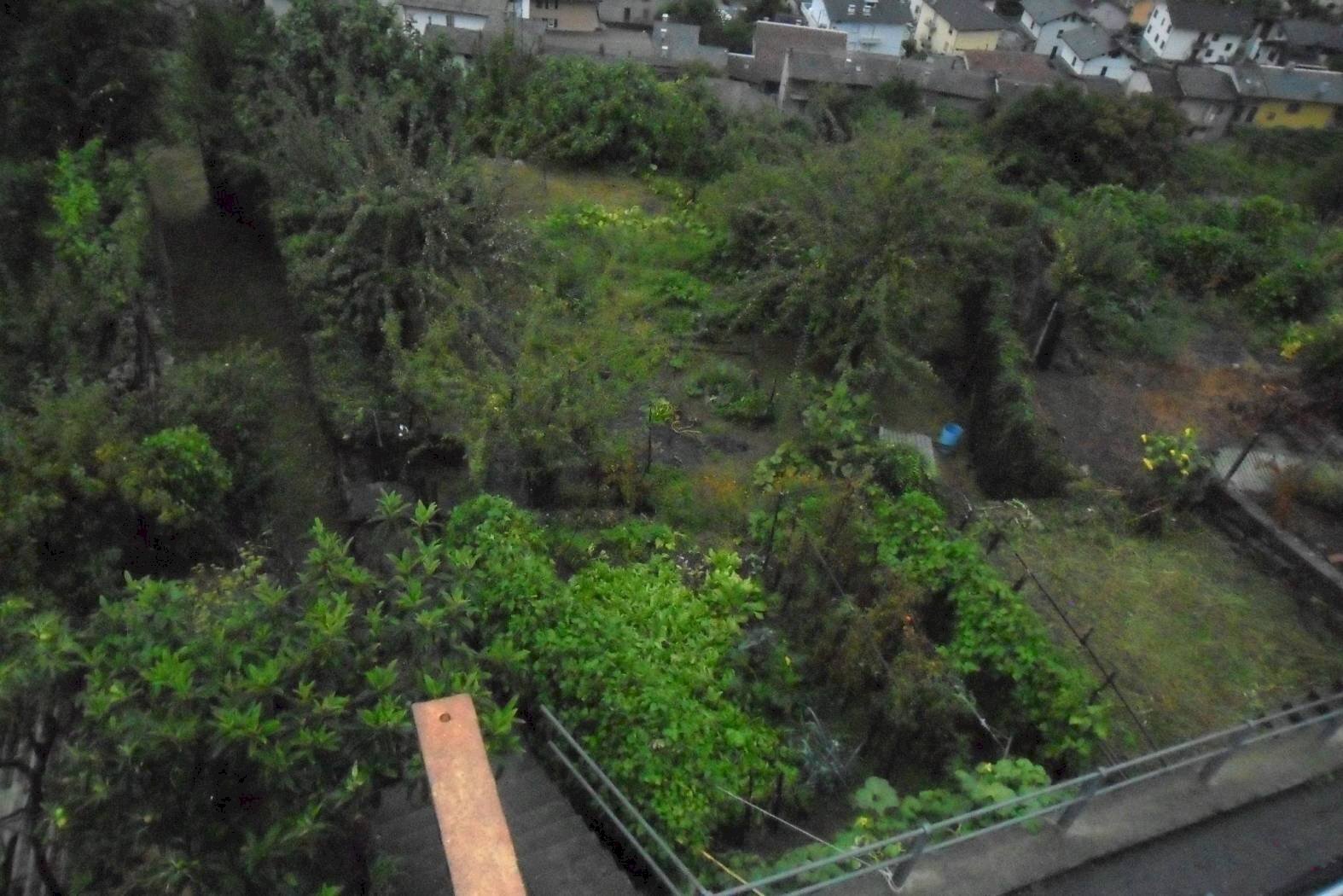 giardino - Stabile - Palazzo via Roma, Montagna in Valtellina - foto 2