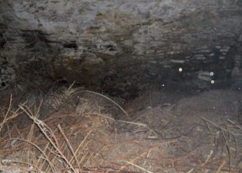 cantina - Rustico via Piatta, Castione Andevenno - foto 7