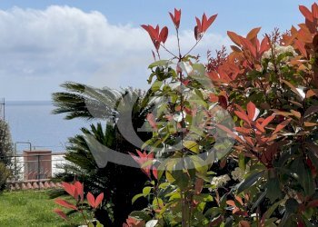 IMG_8095.jpeg - Appartamento Via degli Ulivi 5, Ospedaletti - foto 25