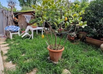 28.jpg - Appartamento Via Arezzo, Perugia - foto 28