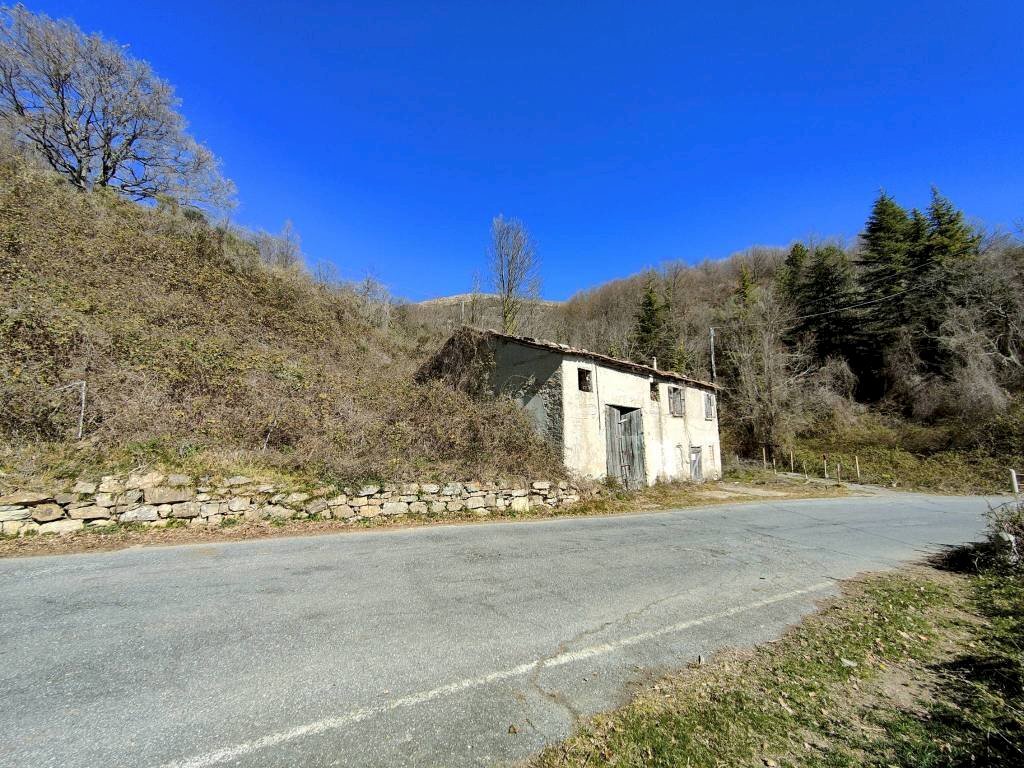 Facciata - Rustico SP21, Aurigo - foto 2