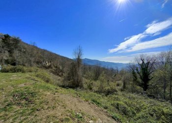 Terreno - Rustico SP21, Aurigo - foto 10