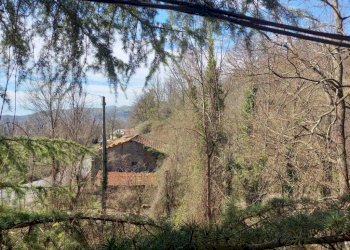 Altro - Rustico SP21, Aurigo - foto 11