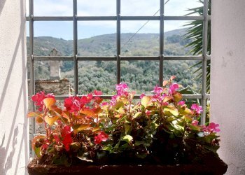 vista dalla cucina - Casa indipendente via alla Costa, Albenga - foto 7