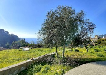 Terreno - Villa strada Vallegrande, Ospedaletti - foto 10