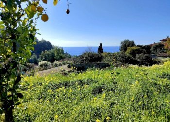 Terreno - Villa strada Vallegrande, Ospedaletti - foto 11