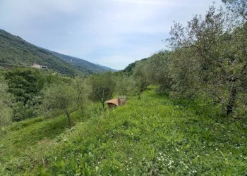 terreno - Villa via Don Paolo Thomatis, Borgomaro - photo 9