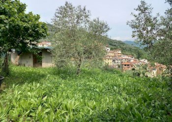 vista - Villa via Don Paolo Thomatis, Borgomaro - photo 10