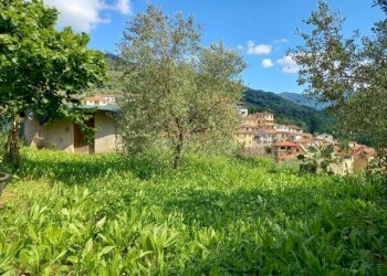 Terreno - Villa via Don Paolo Thomatis, Borgomaro - photo 11