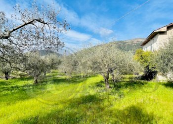 Rustico Via della Palombara, Roccasecca - foto 4