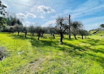 Rustico Via della Palombara, Roccasecca - foto 10