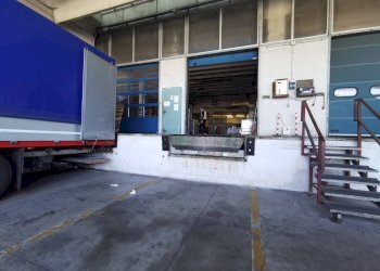 Capannone Mogliano Veneto - foto 2