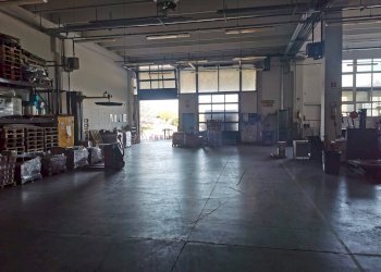 Capannone Mogliano Veneto - foto 3