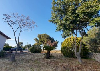 38.jpg - Villa Contrada Busitta 17, Modica - foto 17