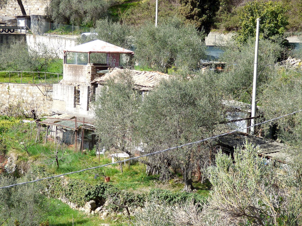 P1080939.JPG - Rustico Sanremo - foto 1