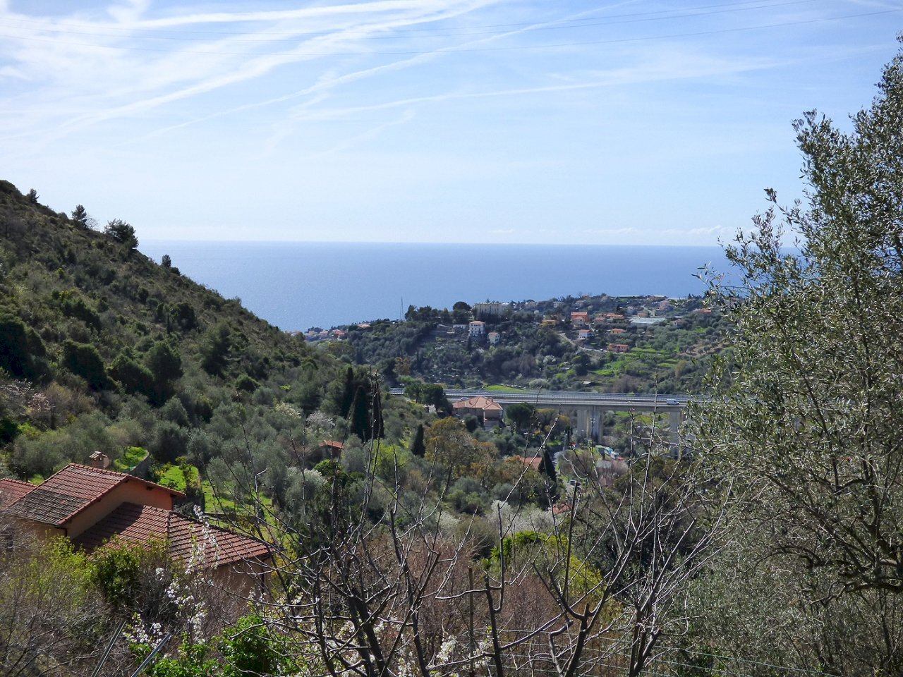 P1080929.JPG - Rustico Sanremo - foto 3