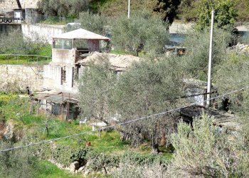 P1080939.JPG - Rustico Sanremo - foto 1