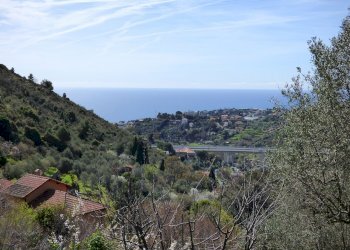 P1080929.JPG - Rustico Sanremo - foto 3