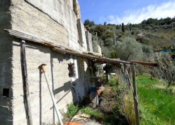 P1080932.JPG - Rustico Sanremo - foto 5