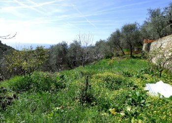 P1080934.JPG - Rustico Sanremo - foto 6