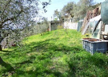 P1080935.JPG - Rustico Sanremo - foto 7