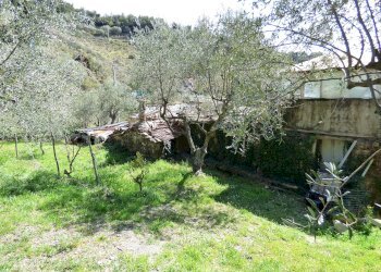 P1080936.JPG - Rustico Sanremo - foto 8