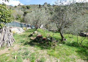 P1080937.JPG - Rustico Sanremo - foto 9