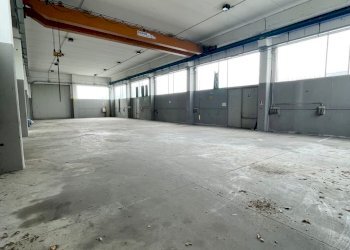 IMG-20230421-WA0013.jpg - Capannone Via Risorgimento 2, Somaglia - foto 11