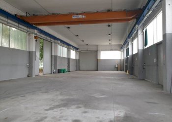 20201006_092411.jpg - Capannone Via Risorgimento 2, Somaglia - foto 13