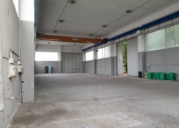 20201006_092503.jpg - Capannone Via Risorgimento 2, Somaglia - foto 6