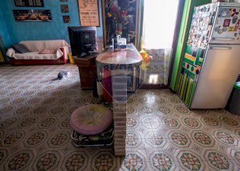 Quadrilocale Centro-P.tta della Lega, Alessandria, Alessandria - foto 9