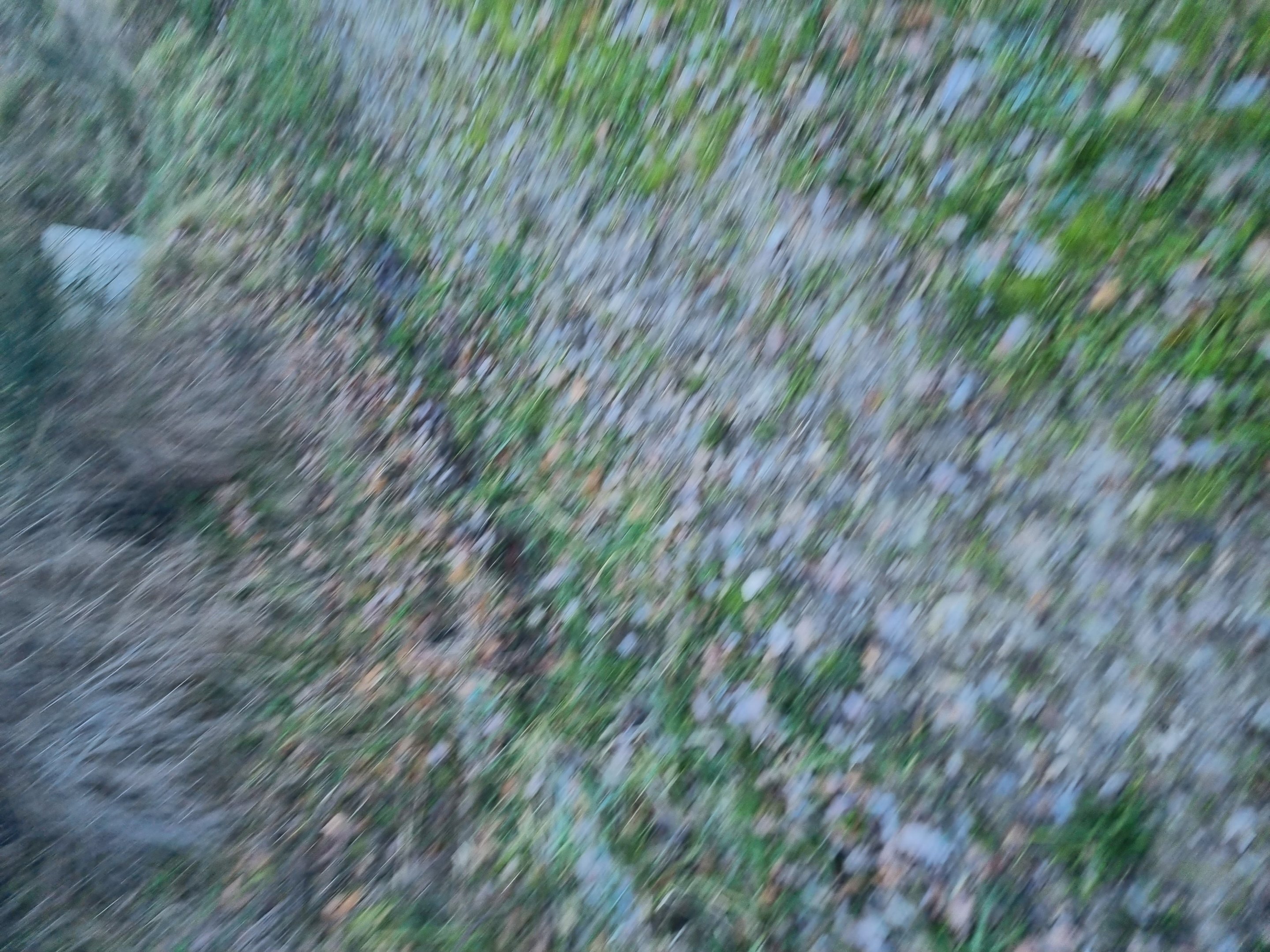 Vigneto c.da pietrarola, Chiusano di San Domenico - foto 2