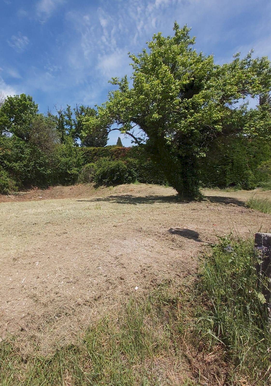 Terreno edificabile montecastrilli, Montecastrilli - foto 2