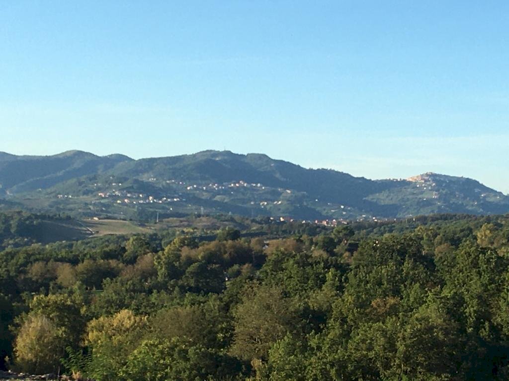 Terreno artigianale - terziario via vigna, Montefalcione - foto 1