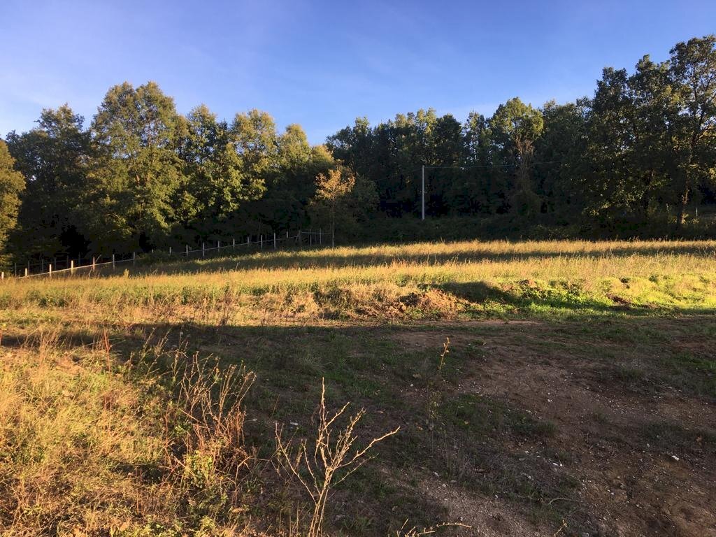 Terreno artigianale - terziario via vigna, Montefalcione - foto 2