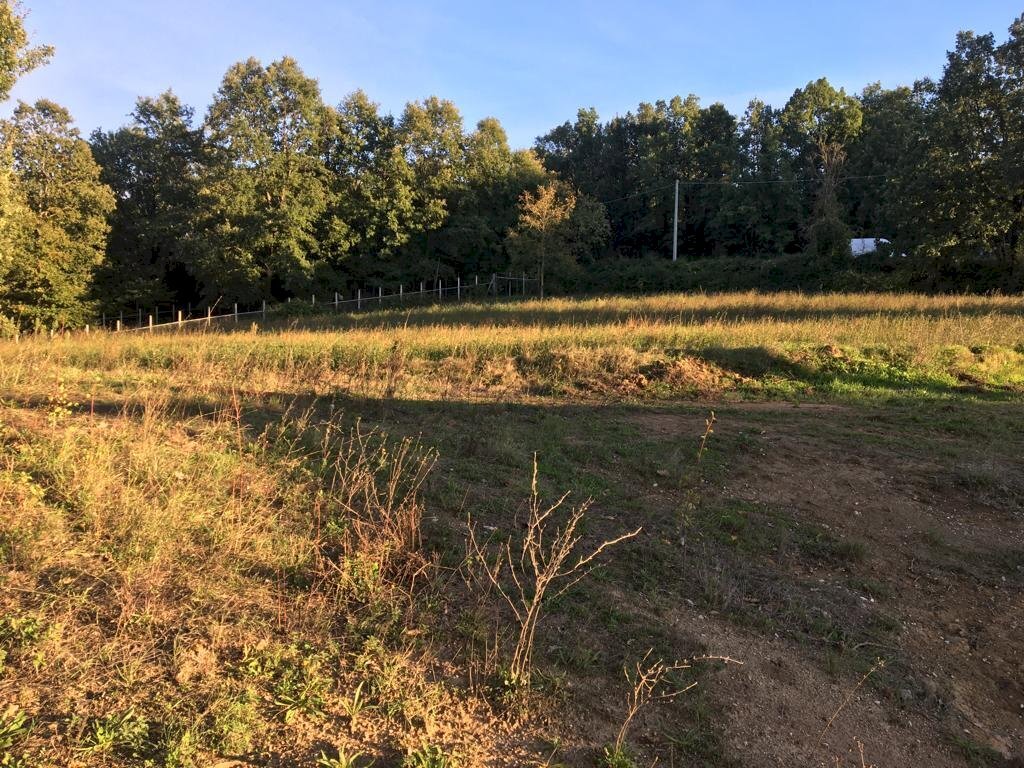 Terreno artigianale - terziario via vigna, Montefalcione - foto 3