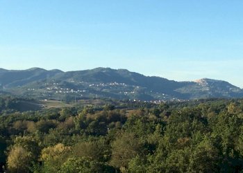 Terreno artigianale - terziario via vigna, Montefalcione - foto 1