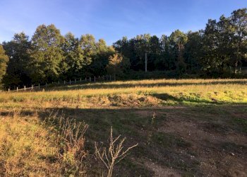 Terreno artigianale - terziario via vigna, Montefalcione - foto 2